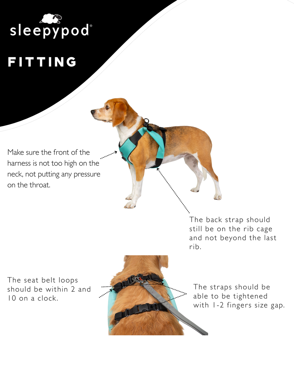 Crash-Tested Dog Car Safety Harness product image 3