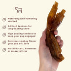 Thick Beef Tendon Dog Chews product image 3
