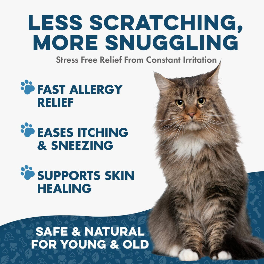 Cat Allergy and Immune Support Tablets product image 3