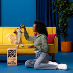 Beef and Ancient Grains Dry Dog Food product image 3