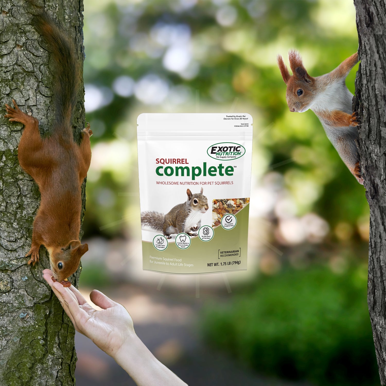 Complete Squirrel Food product image 3