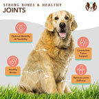 Liquid Dog Joint Supplement product image 3