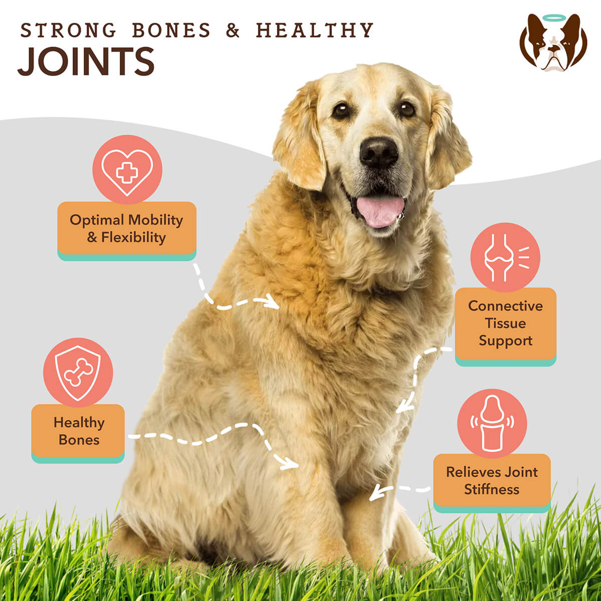 Liquid Dog Joint Supplement product image 3