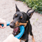 Floating Dog Tug Toy product image 3