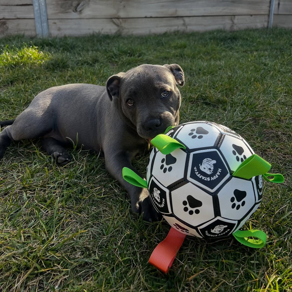 Soccer Ball Dog Toy with Tug Handles product image 3