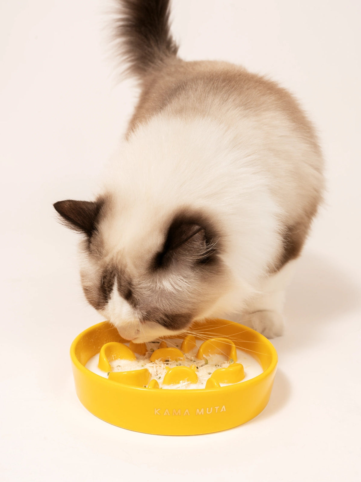 Slow Feeder Bowl product image 3