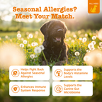 Dog Allergy and Immune Support Chews product image 3