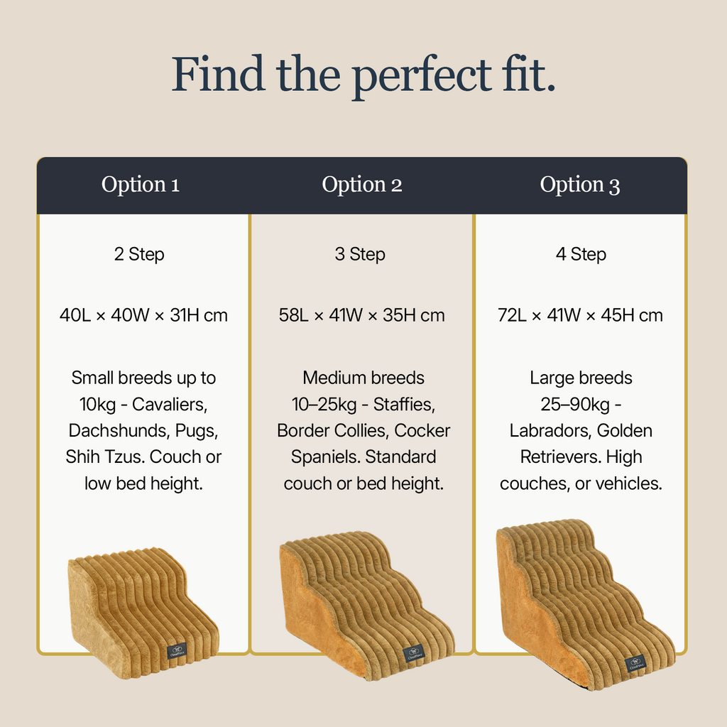 Dog Stairs product image 3