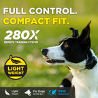 Dog Training Collar product image 3