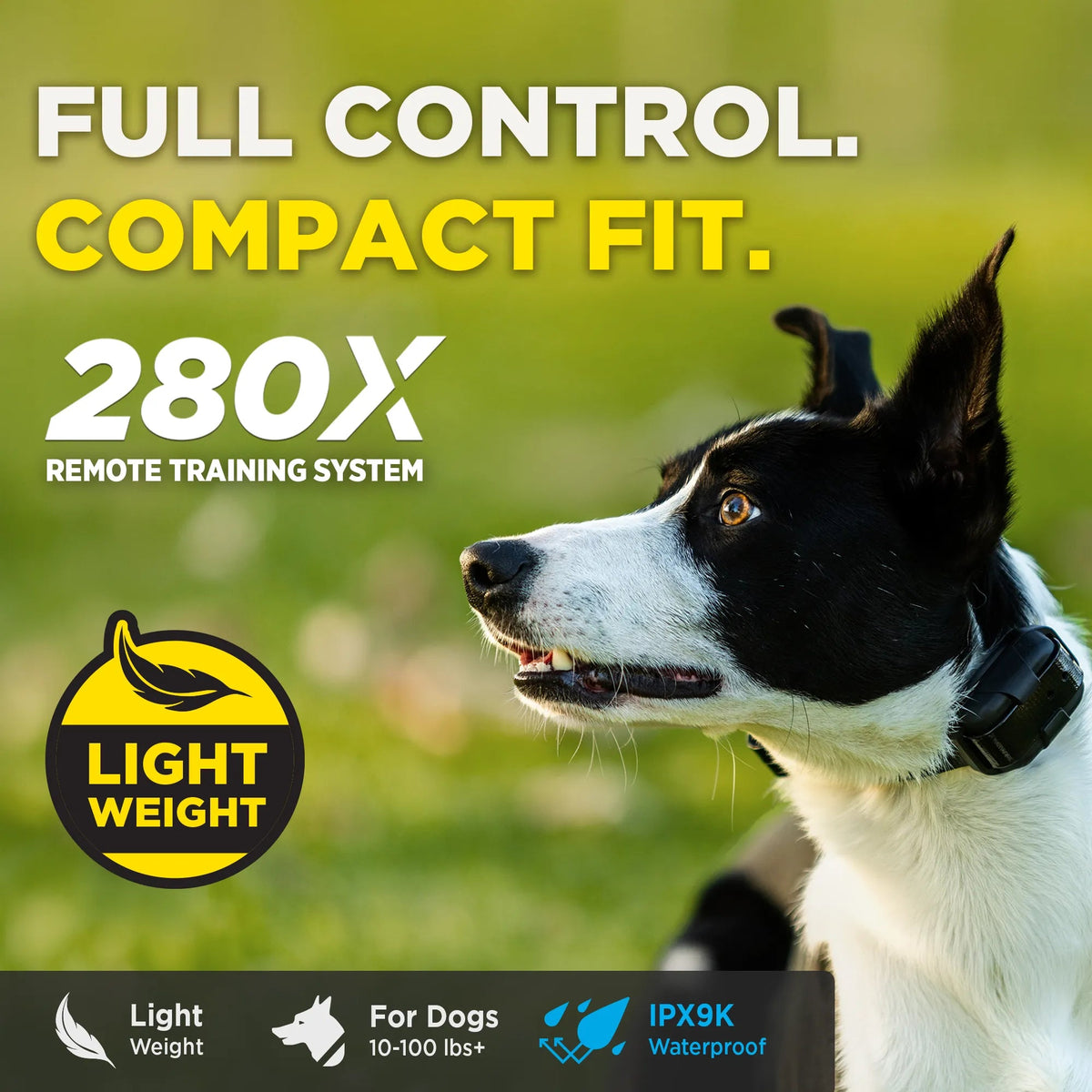 Dog Training Collar product image 3