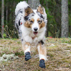 Dog Boots product image 3