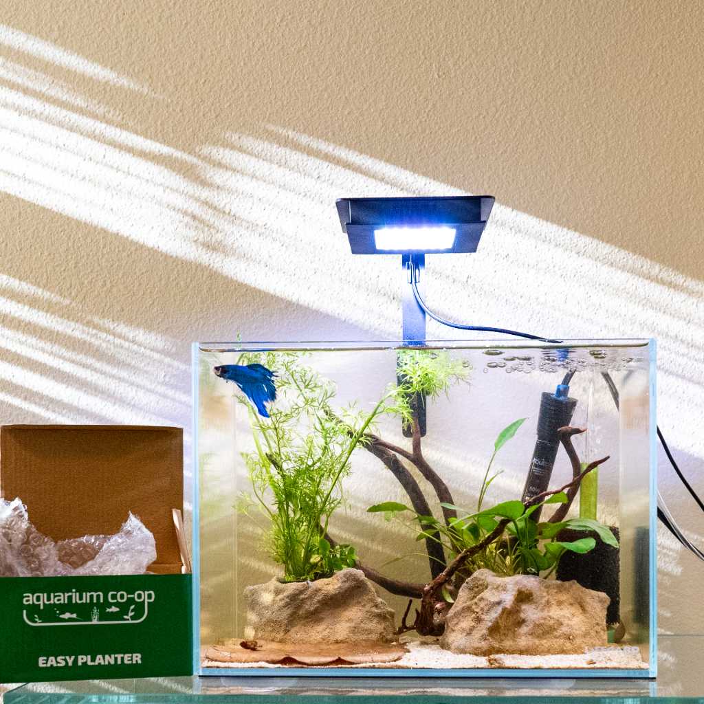 Bare-Bottom Aquarium Plant Holder product image 3