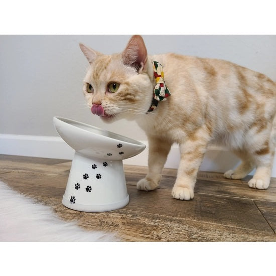 Cat Bowl Set product image 3