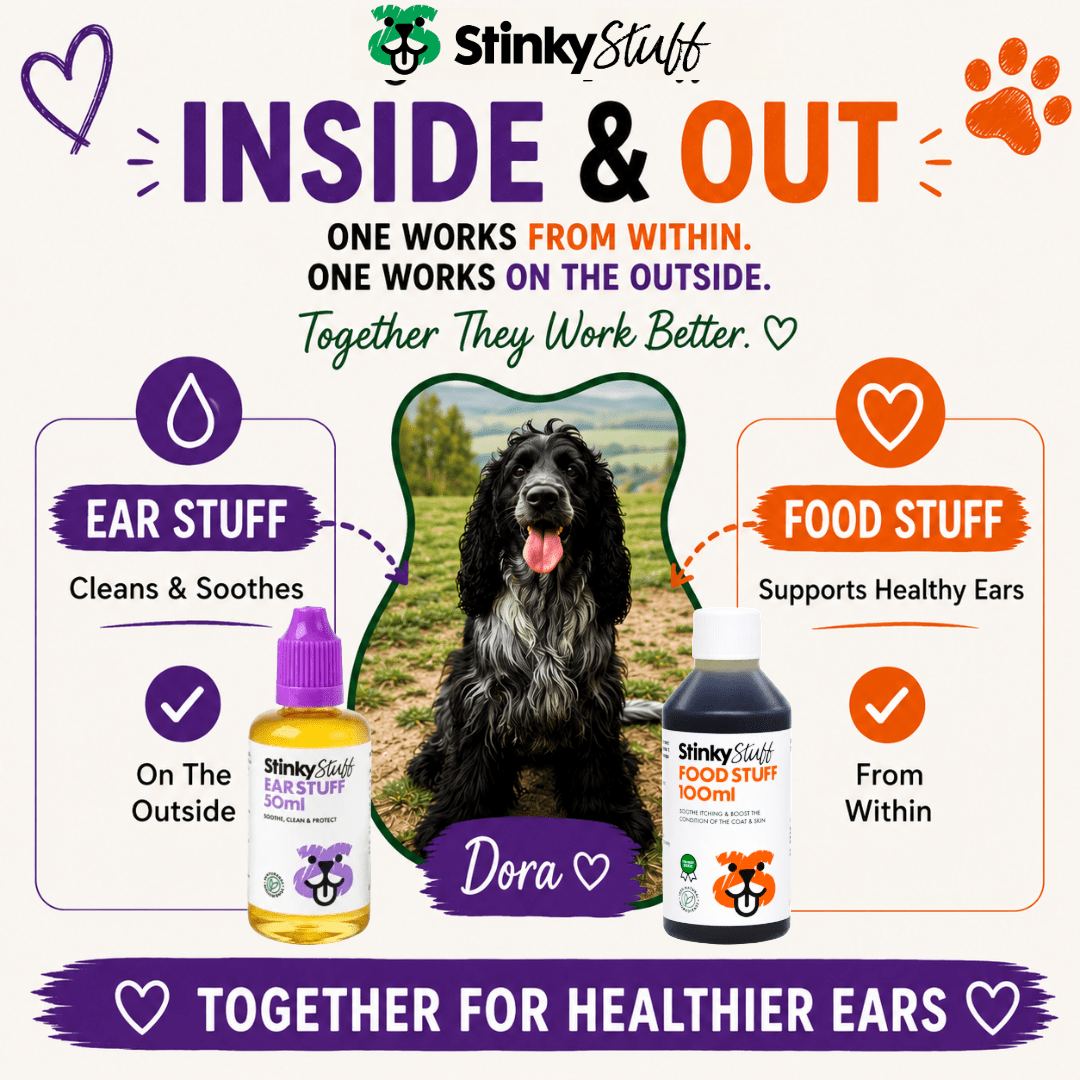 Dog Ear Drops product image 3