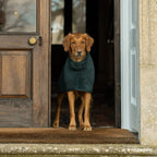 Dog Drying Coat product image 3