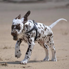 Pet Harness product image 3