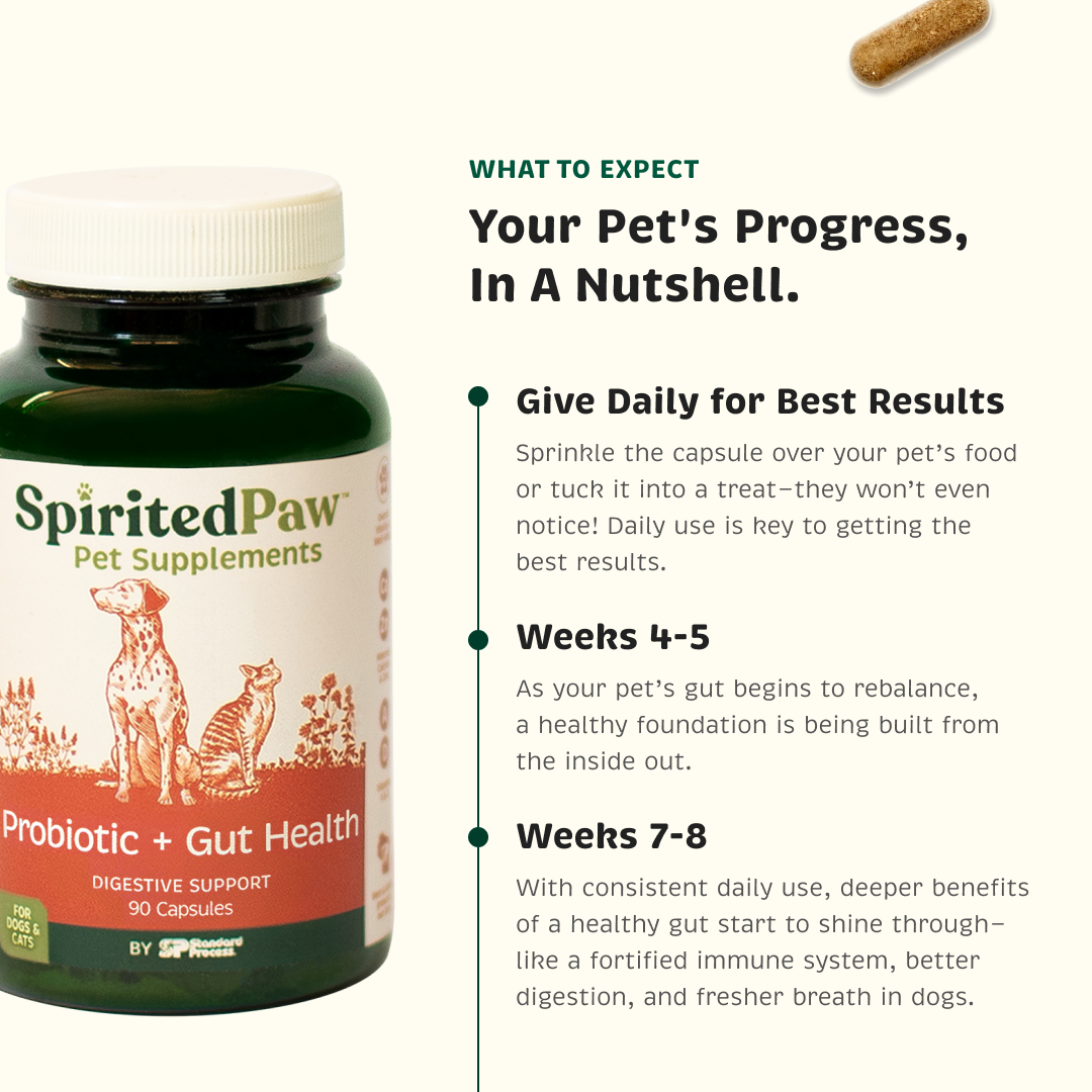 Pet Probiotic product image 3