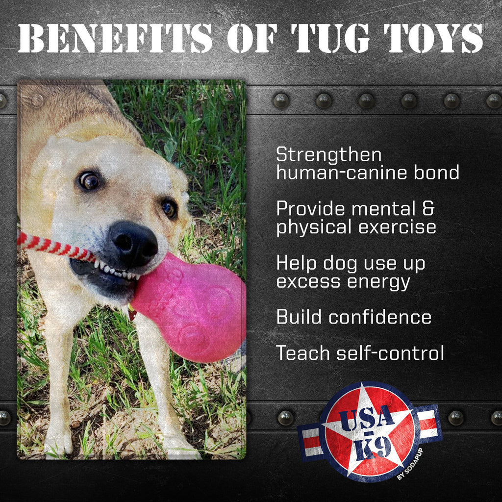 Dog Treat Toy product image 3