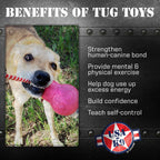 Dog Treat Toy product image 3