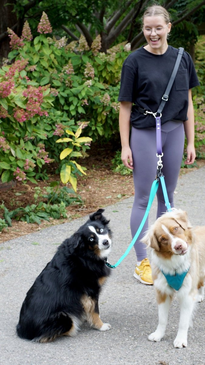 Hands-Free Dog Walking Belt product image 3
