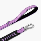 Dog Leash product image 3