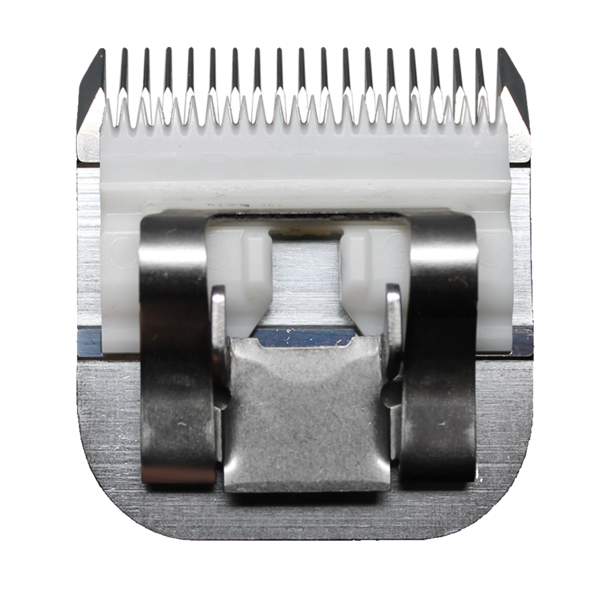 Dog Clipper Blade product image 3