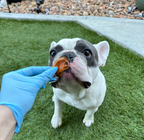 Green-Lipped Mussel Pet Treats product image 3