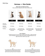 Dog Harness product image 3