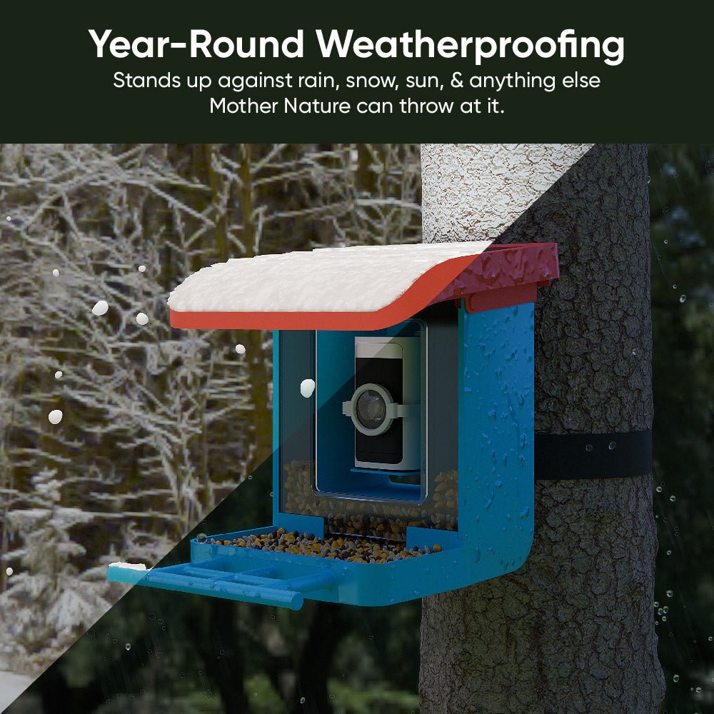 Bird Feeder product image 3