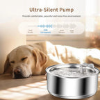 Pet Water Fountain product image 3