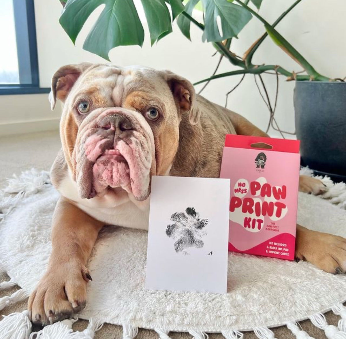 Paw Print Kit product image 3