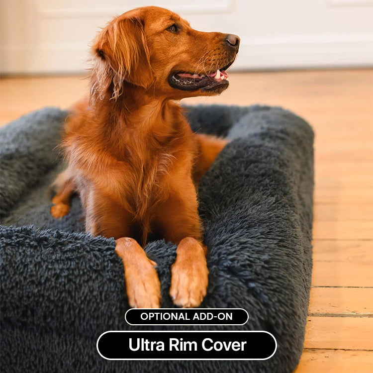Memory Foam Dog Bed product image 3