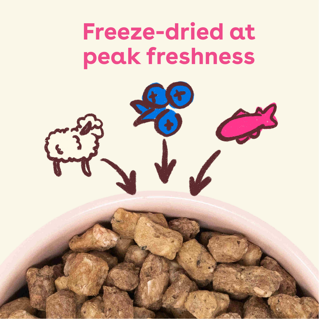 Freeze-Dried Dog Food product image 3