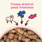 Freeze-Dried Dog Food product image 3