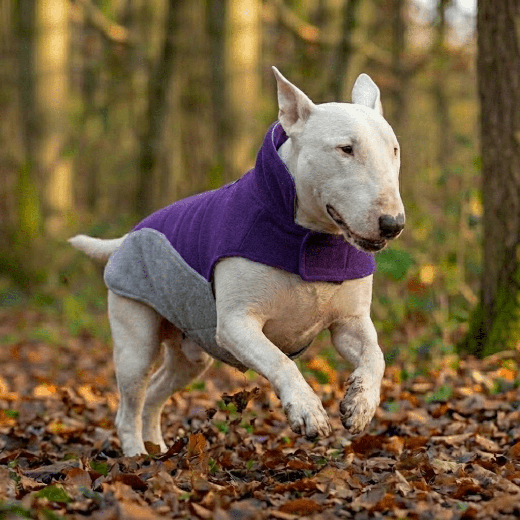 Dog Safety Vest product image 3
