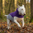 Dog Safety Vest product image 3