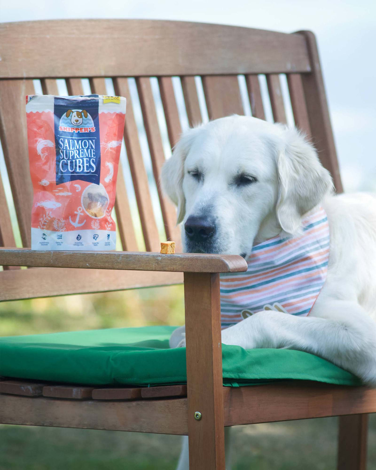 Single-Ingredient Salmon Dog Treats product image 3