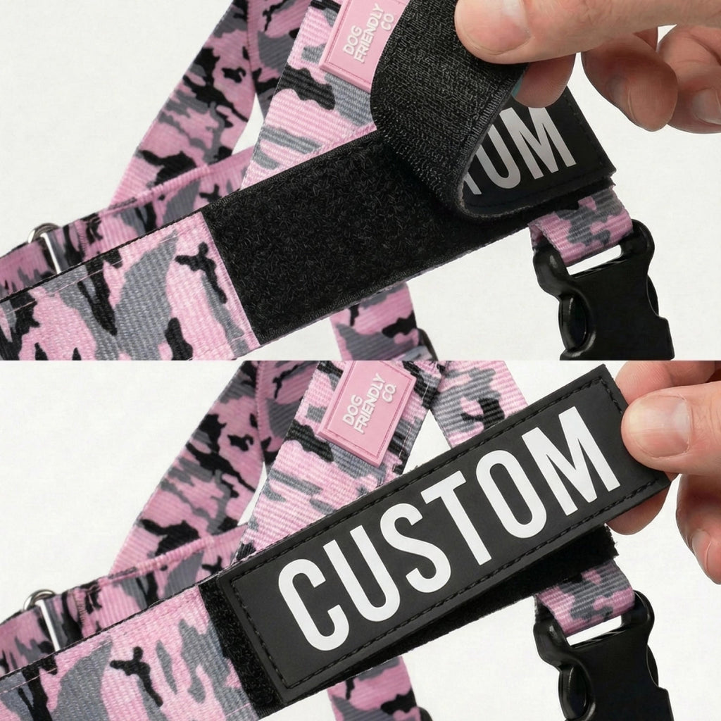 No-Pull Dog Harness and Leash Bundle product image 3
