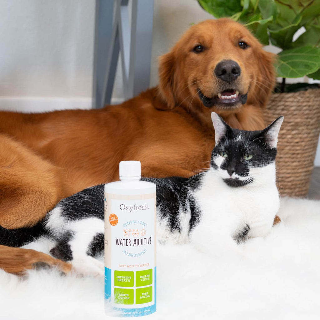 Pet Dental Water Additive product image 3
