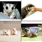 Small Pet Yogurt Treats product image 3
