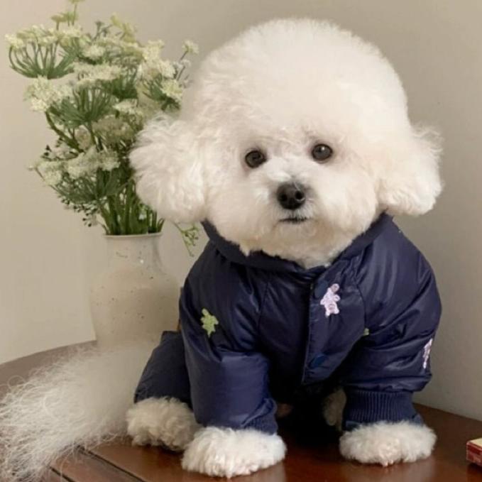 Dog Jumpsuit Jacket product image 3