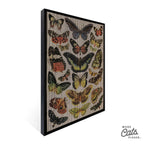 Cardboard Cat Scratching Board product image 3