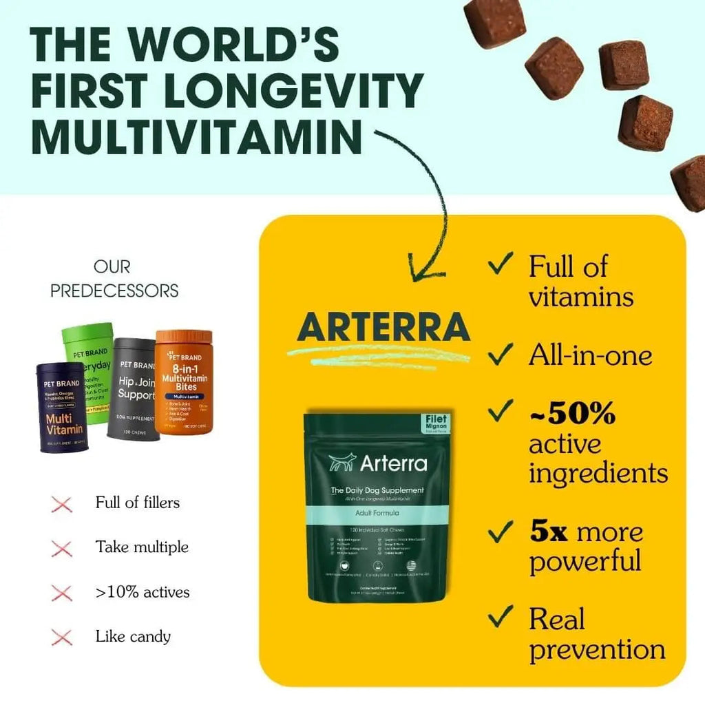 Adult Dog Multivitamin product image 3