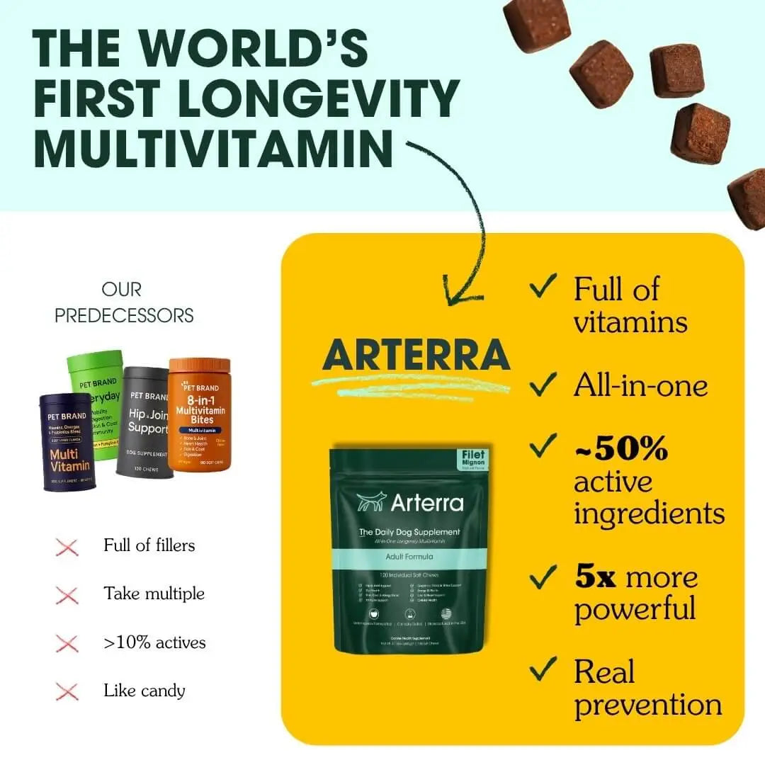 Adult Dog Multivitamin product image 3
