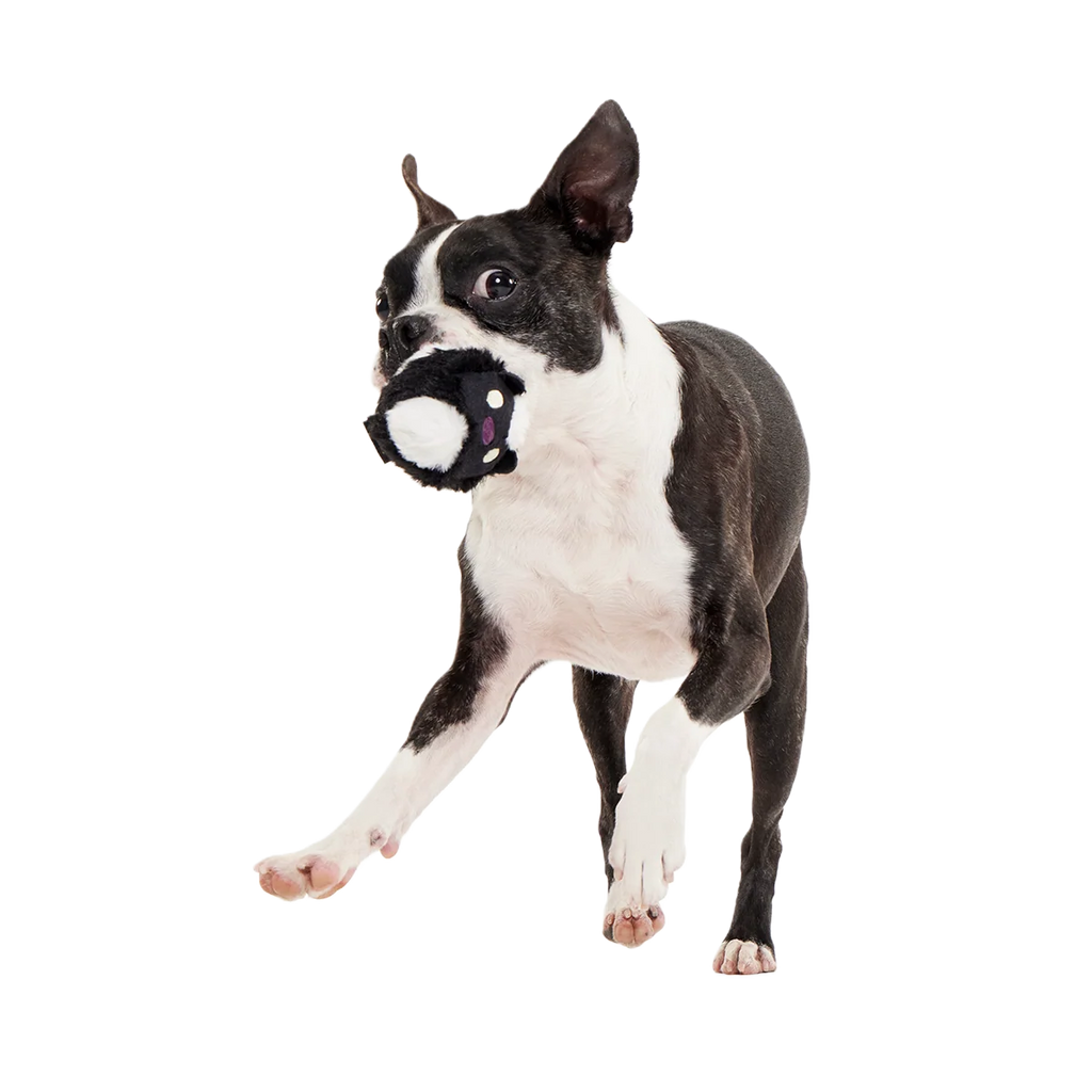 Dog Fetch Toy product image 3