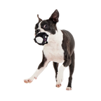 Dog Fetch Toy product image 3