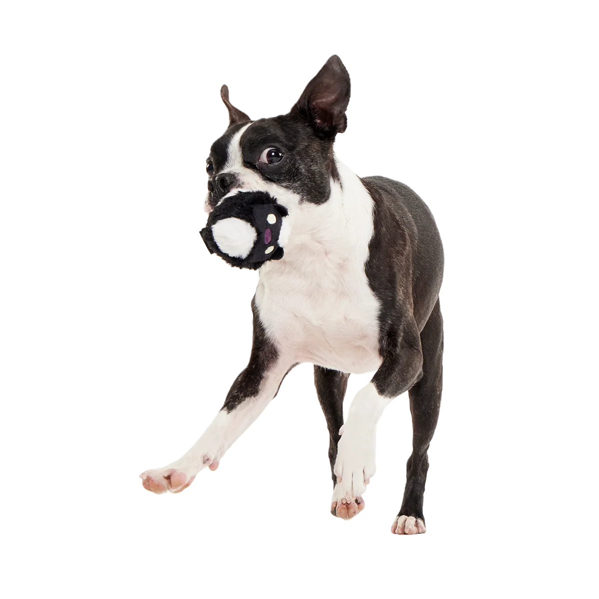Dog Fetch Toy product image 3