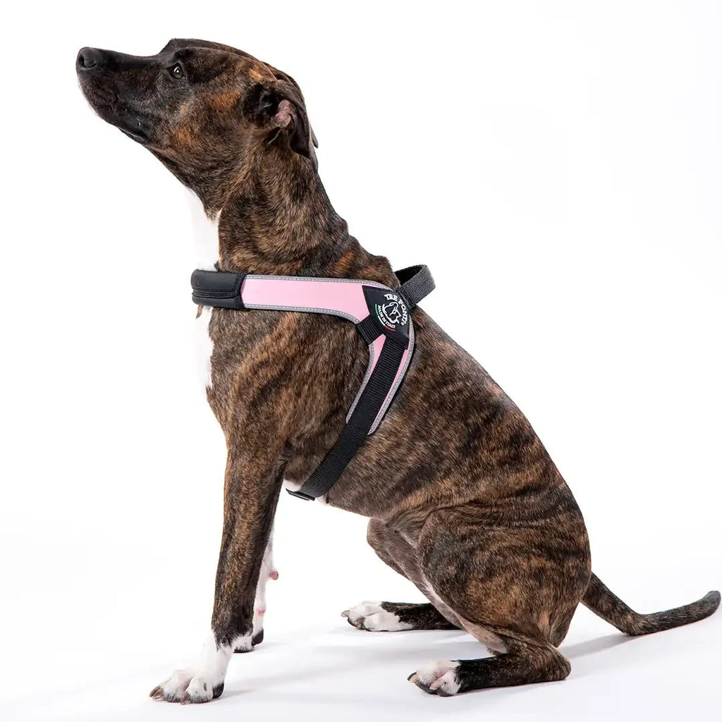 Dog Harness product image 3