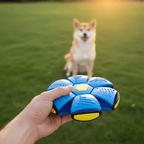 Transforming Pet Toy product image 3