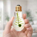 Light Bulb Terrarium product image 3